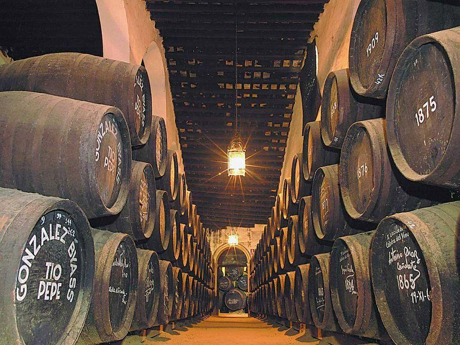 Visita a las Bodegas Tío Pepe