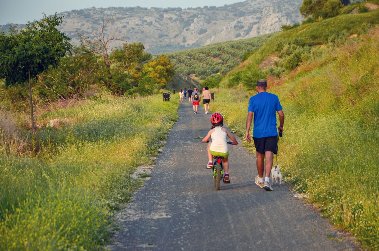Excursionistas en la Vía Verde del Aceite.