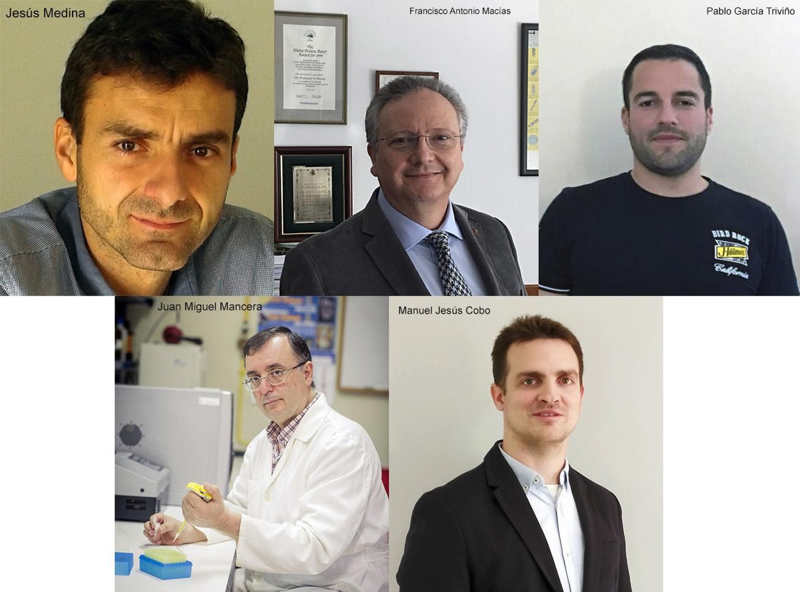 Los cinco investigadores de la UCA  que destacan en el ranking de la Universidad de Stanford.