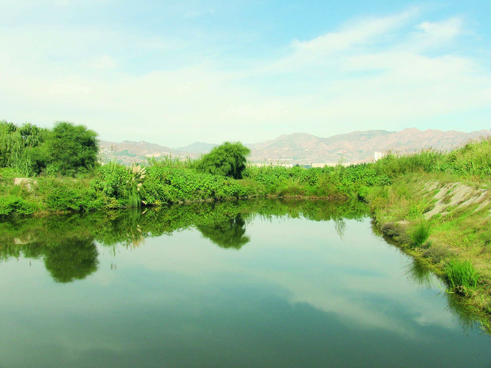 Imagen de archivo de la Charca Suárez de Motril.