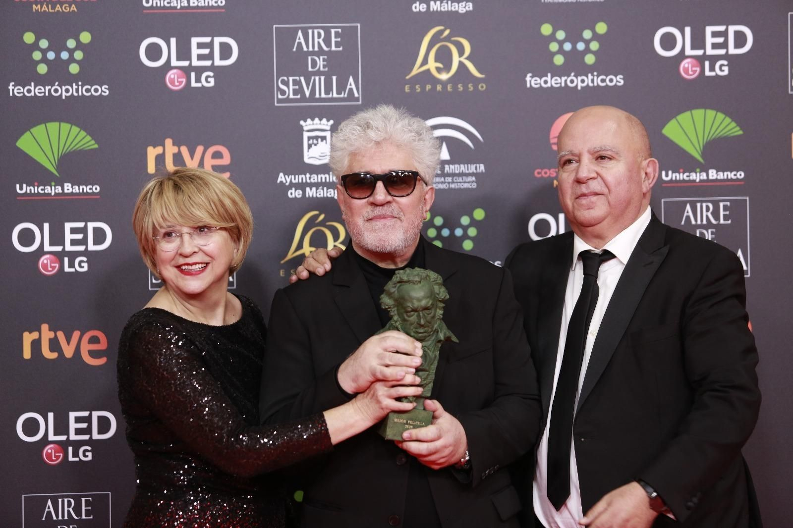 Pedro Almodóvar, Goya al mejor director Pedro Almodóvar, Goya al mejor director