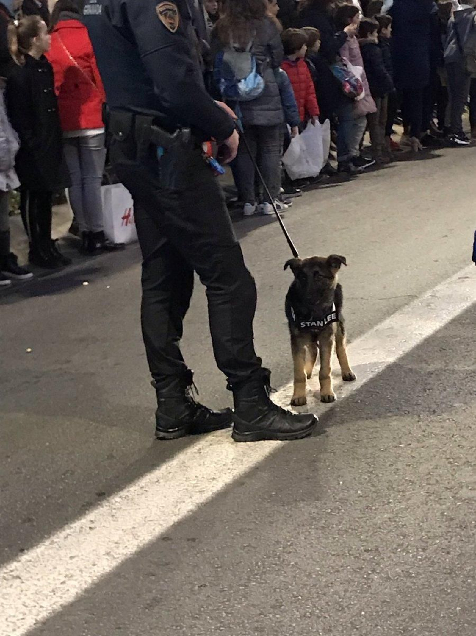 Stan Lee fue adoptado por la Policía Local.