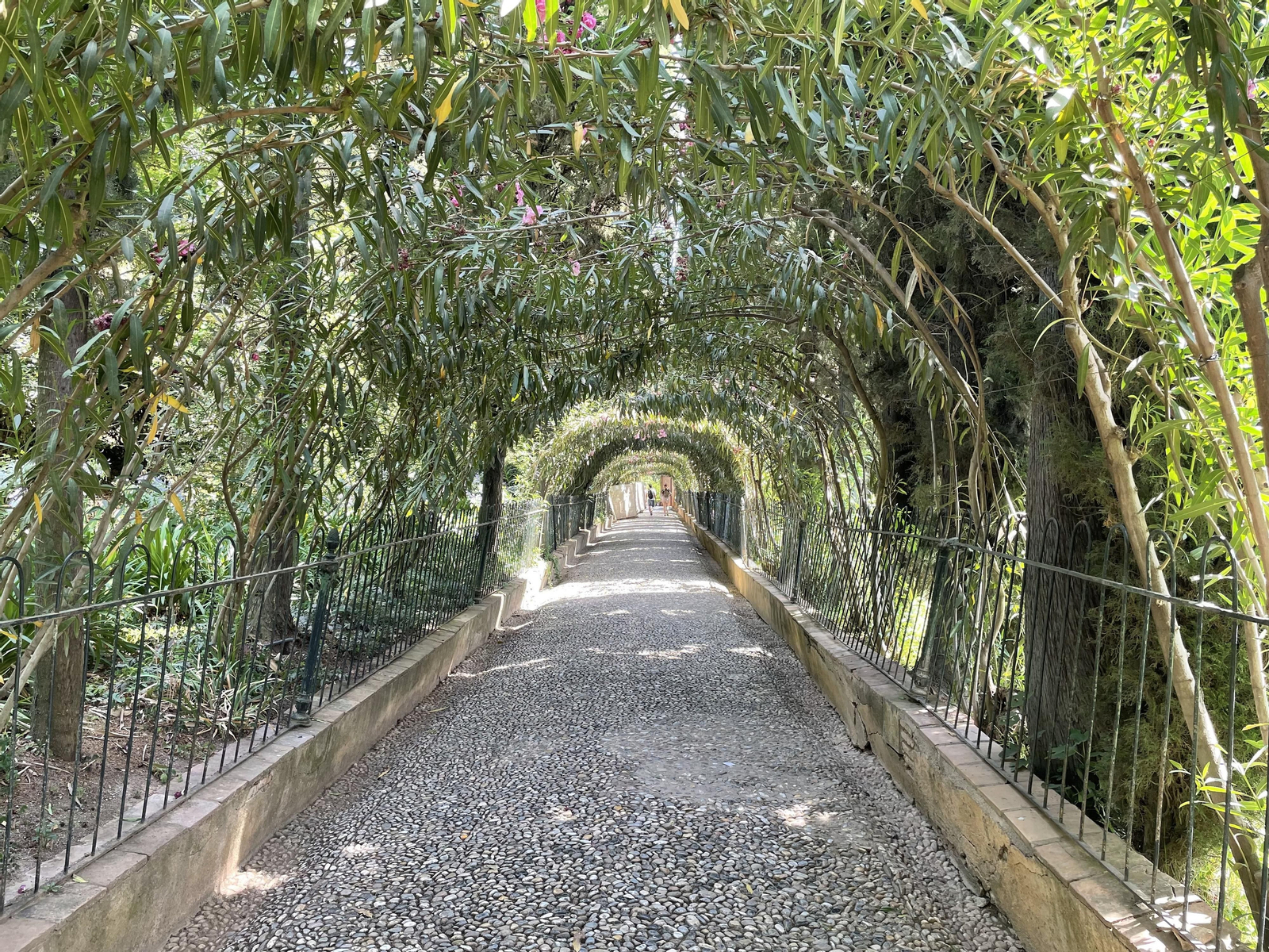 Los 15 secretos de la Alhambra que probablemente no conozcas