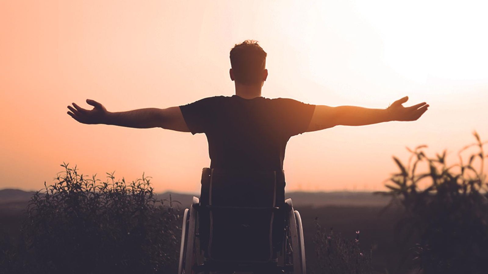 Luippi disfruta del atardecer.