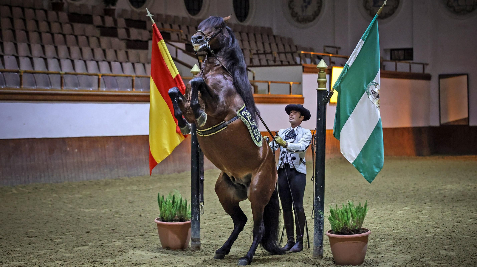 Yente,  el caballo de Jerez mas famoso del mundo
