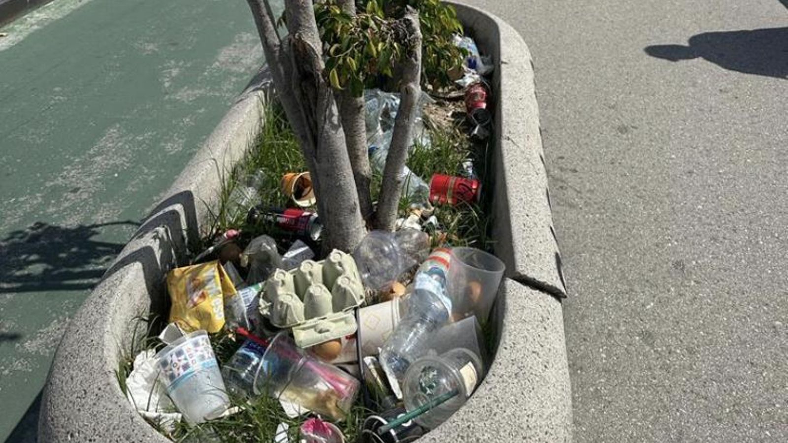 Otra perspectiva de la suciedad acumulada en la jardinera.