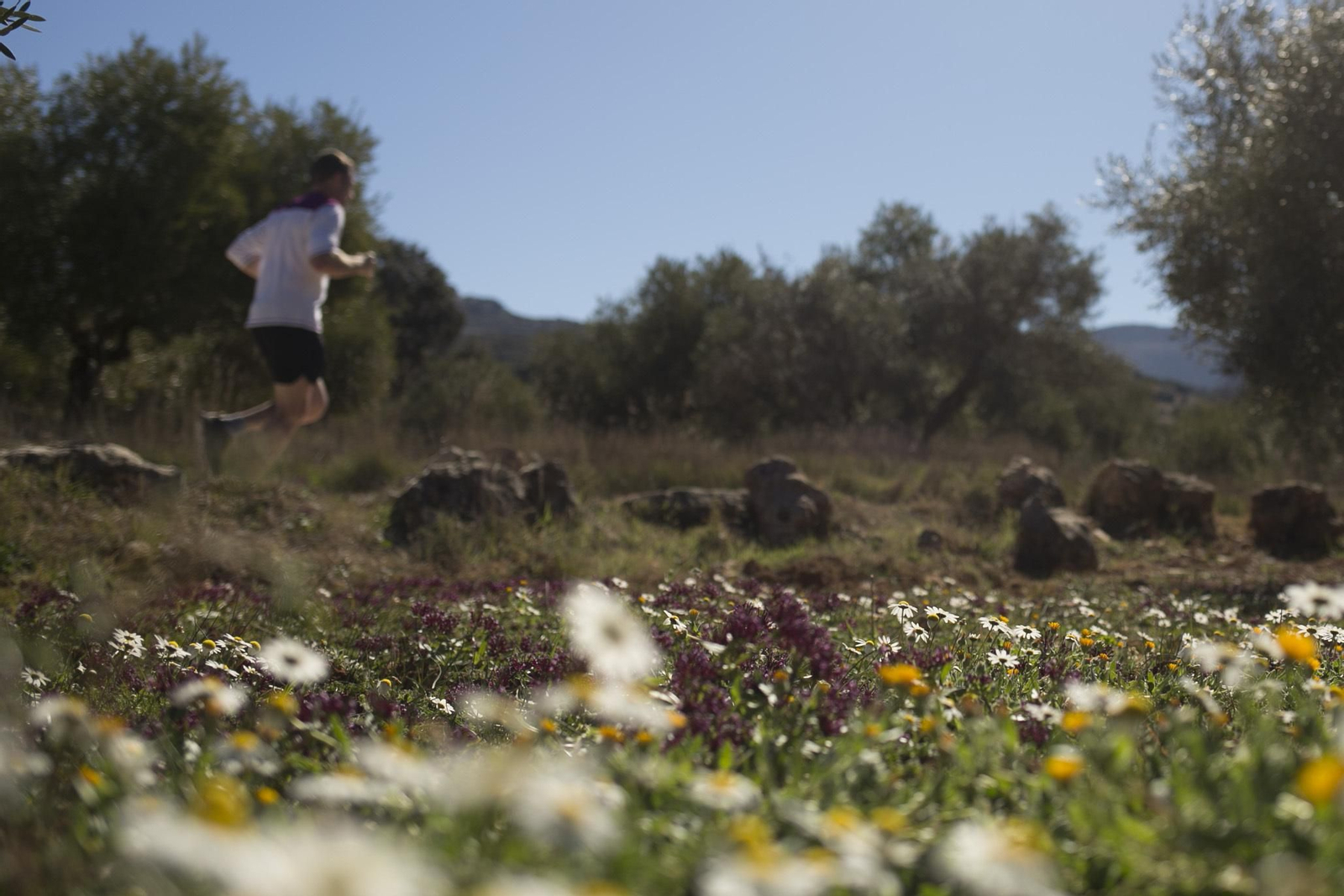 Imágenes de la primavera adelantada en Málaga