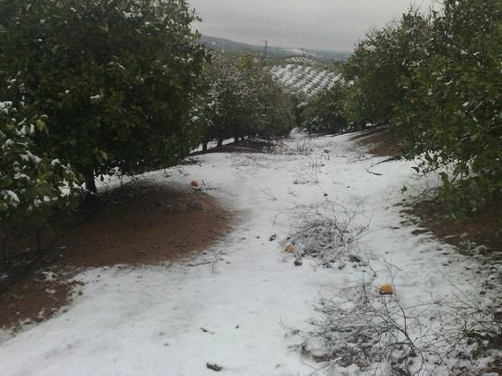 Nieve en Lora del Rio./ Luis Valverde Parrondo