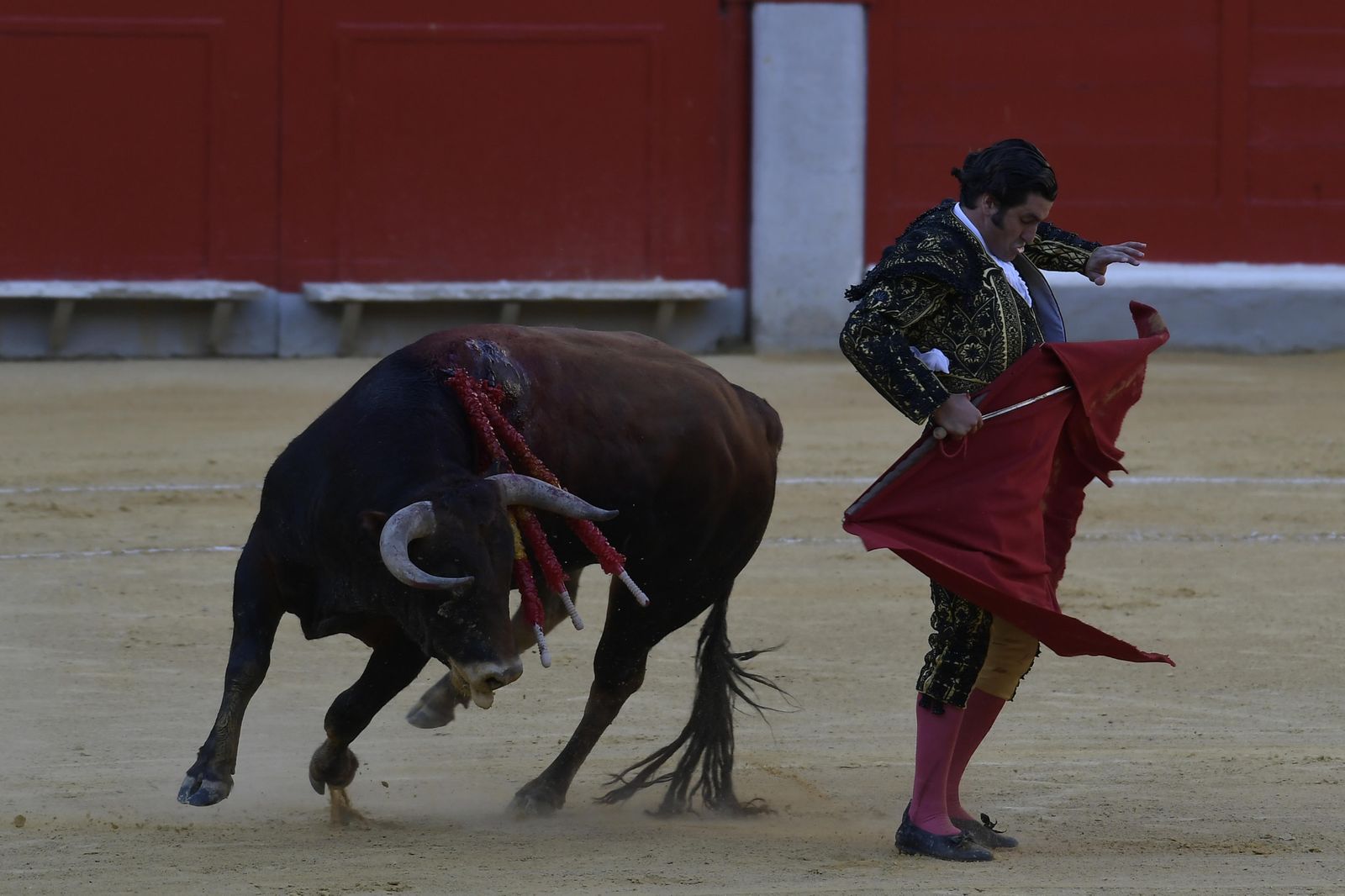 Morante de la Puebla, ayer