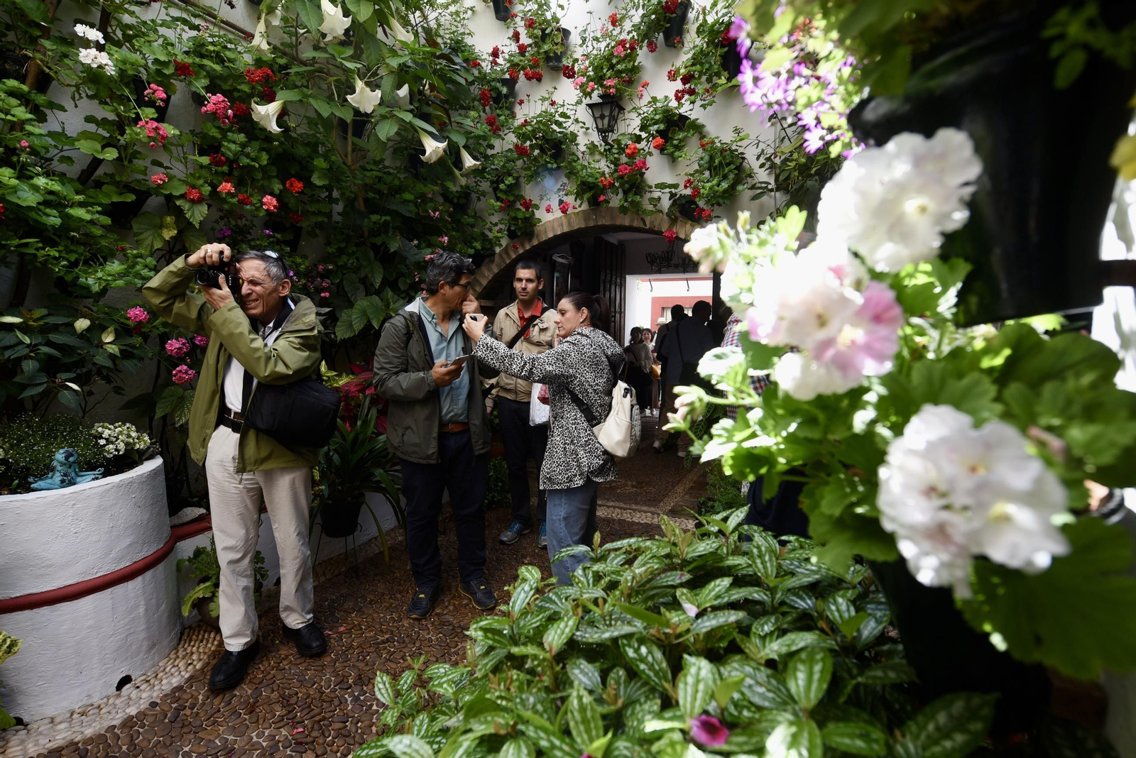 Los Patios de Córdoba de la Ruta del Alcázar Viejo, en imágenes