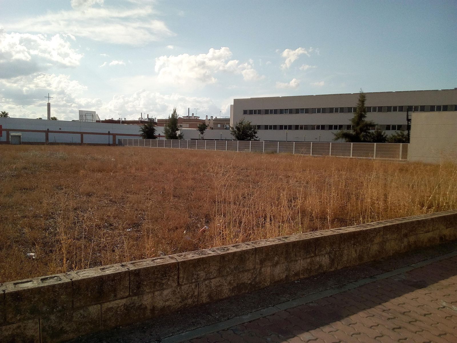 Terrenos ubicados en la barrida del V Centenario, con la residencia de mayores a la derecha.