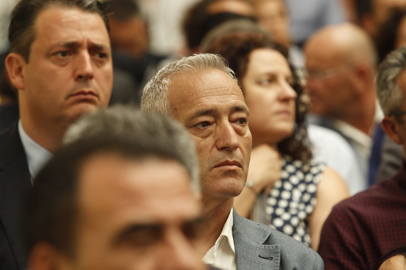 Pleno investidura Presidente Diputación de Almería. Javier Aureliano García