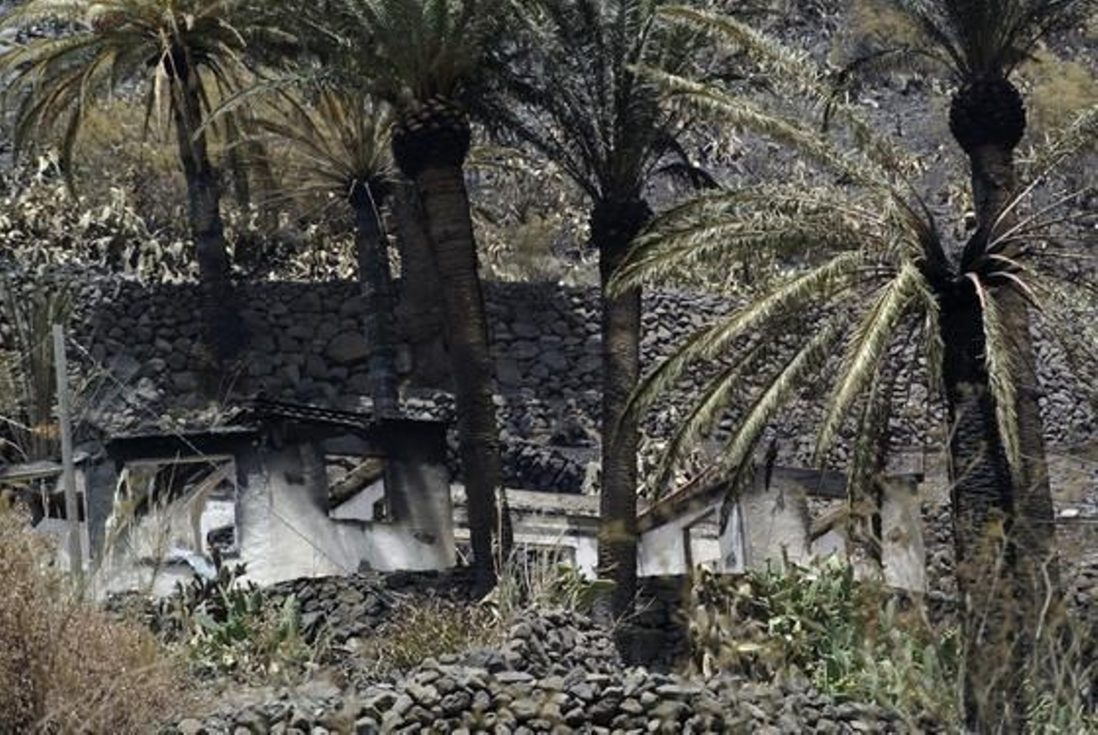 Foto: Carlos Fernández