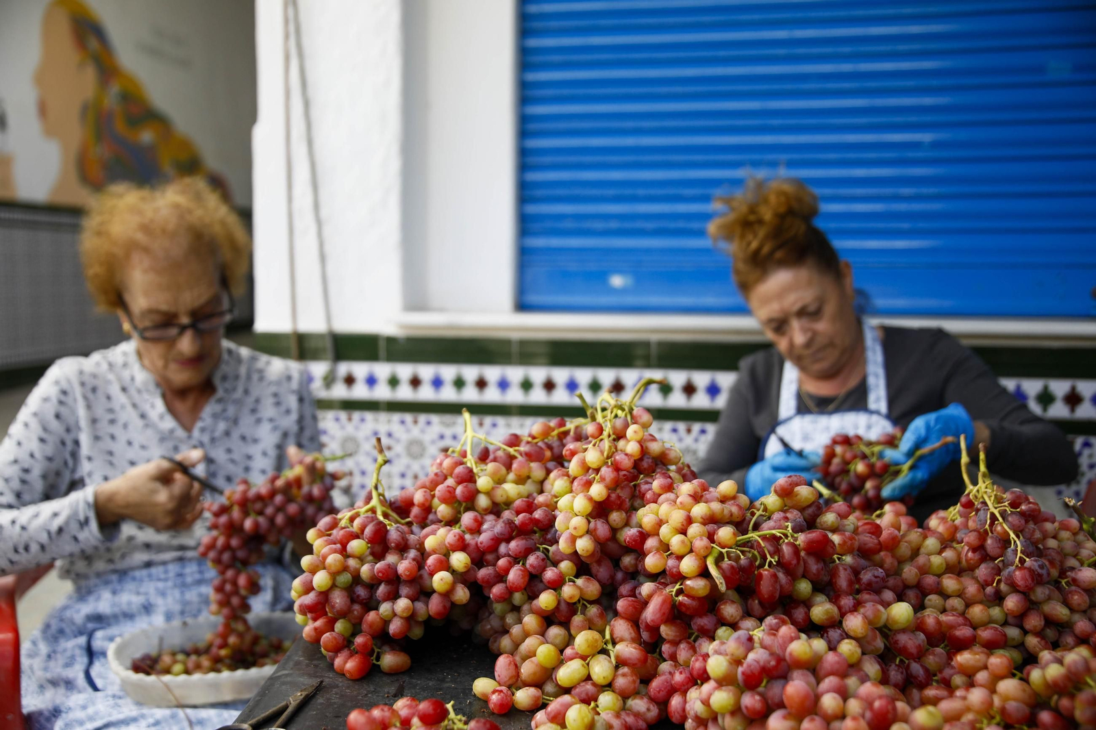 La tradicional faena de la uva de Canjayar, en imágenes