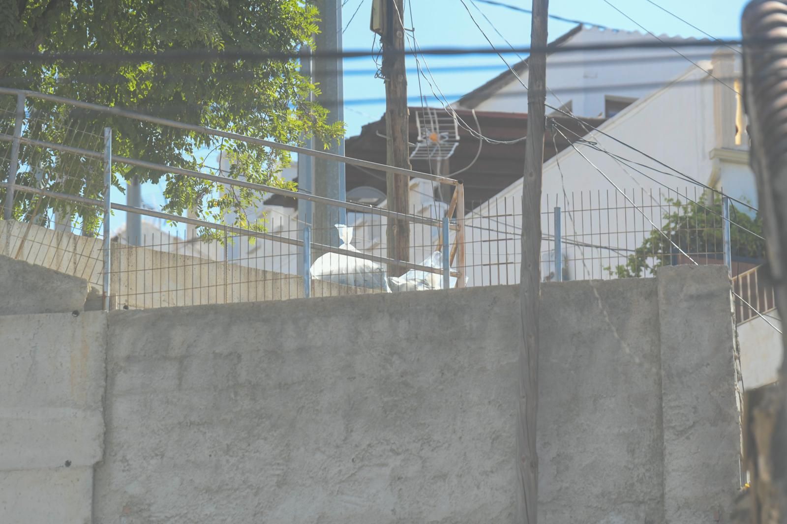 Fotos: así ha sido la operación contra el tráfico de marihuana en Pinos Puente