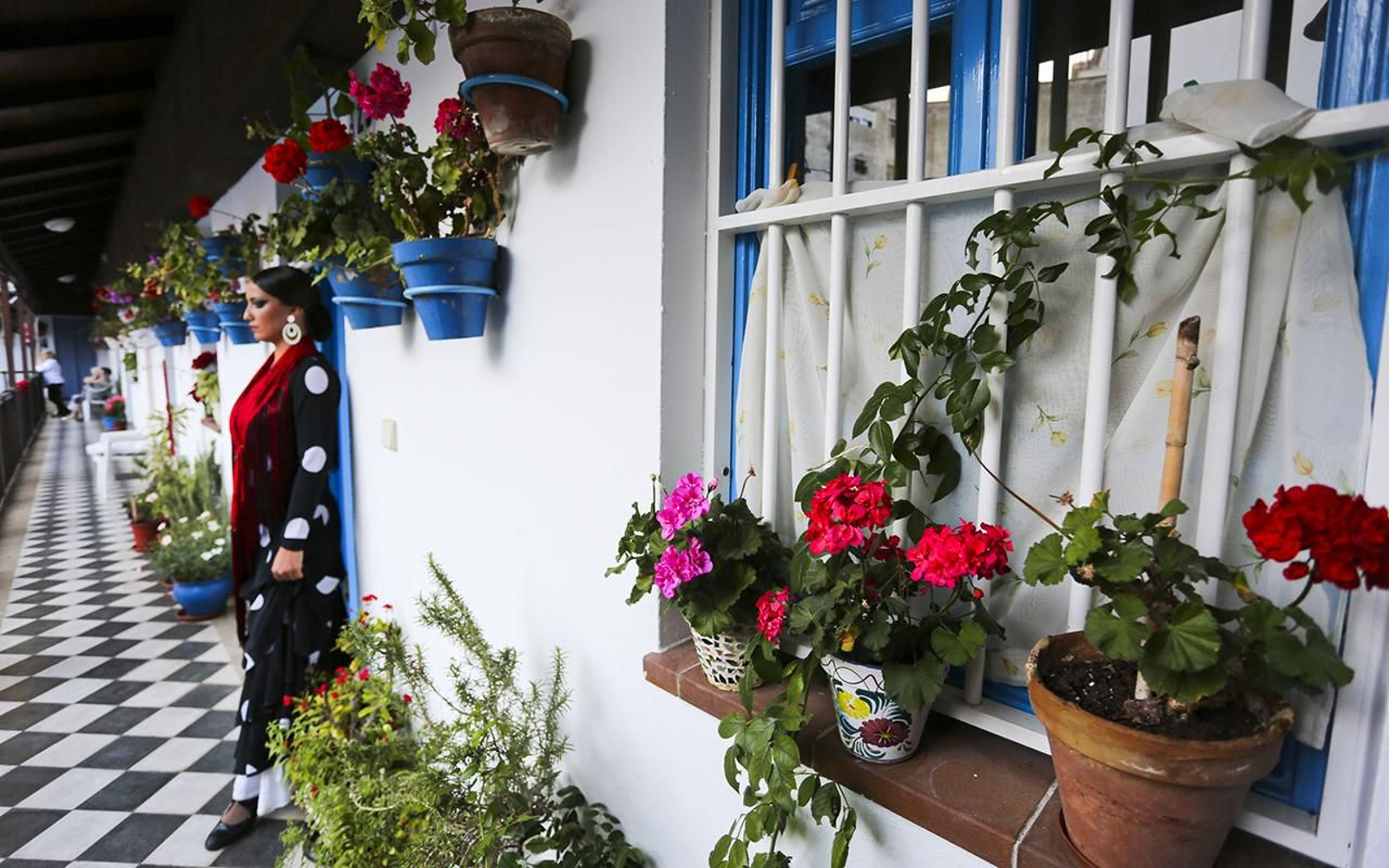El corralón de Santa Sofía en una edición anterior del concurso de patios en Málaga.