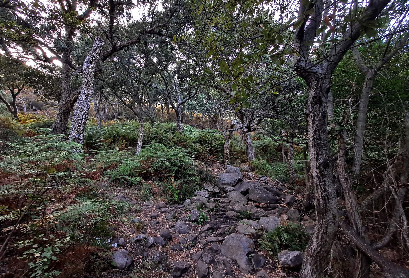 Fotos del sendero del Chorro de Pelayo en Algeciras