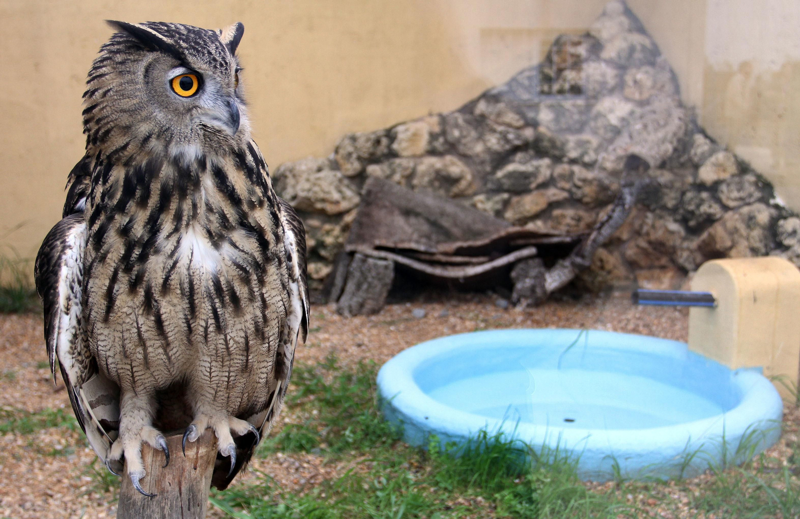 Centro de especies protegidas CREA-CEGMA