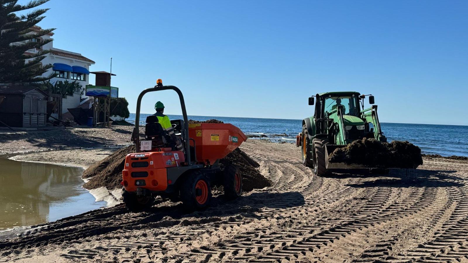 Operarios retirando restos del alga en la costa mijeña.