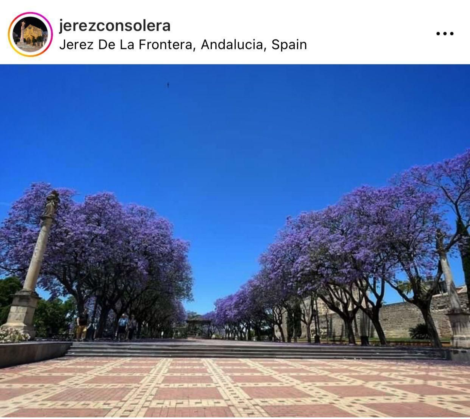 Jerez con Solera (@jerezconsolera)