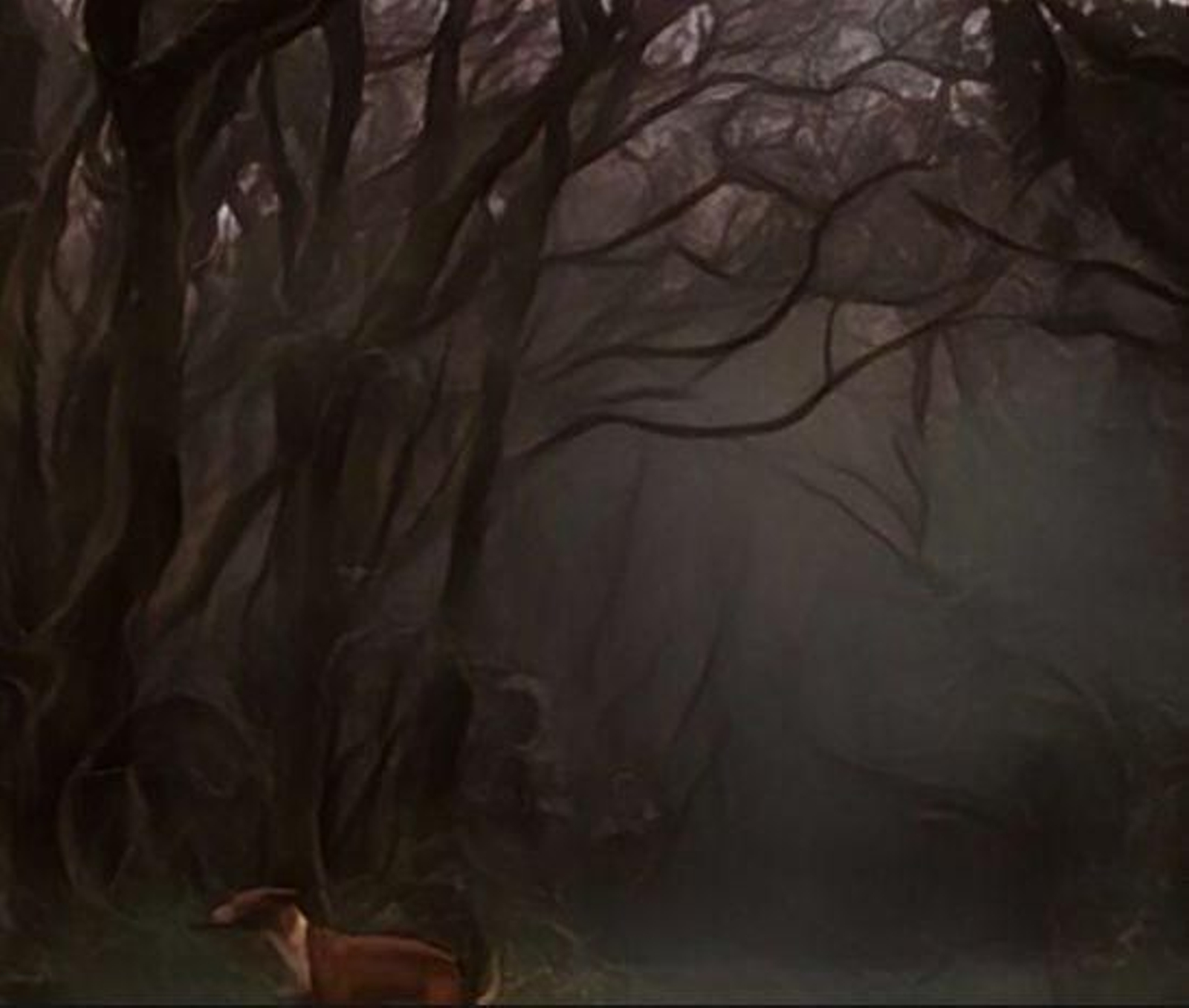 Bosque de la Niebla. Algeciras.