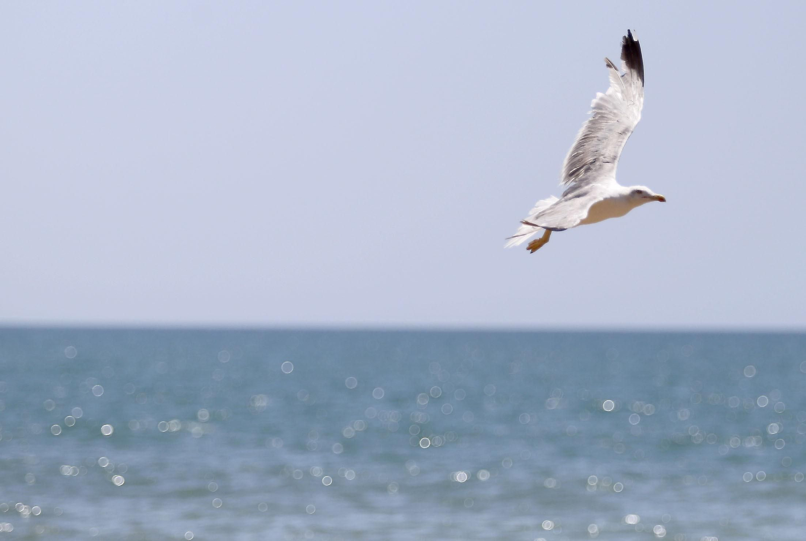 Imágenes del miércoles 26 de julio en Huelva