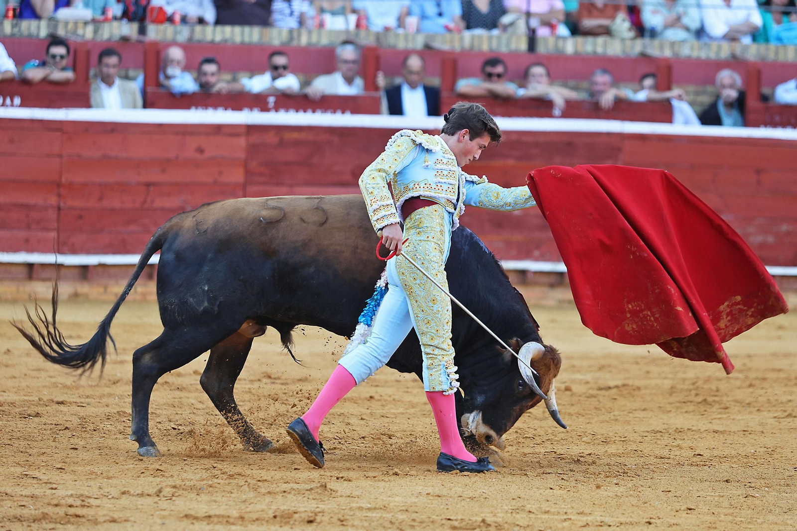 Toros La Merced 2024 Novillada con picadores(