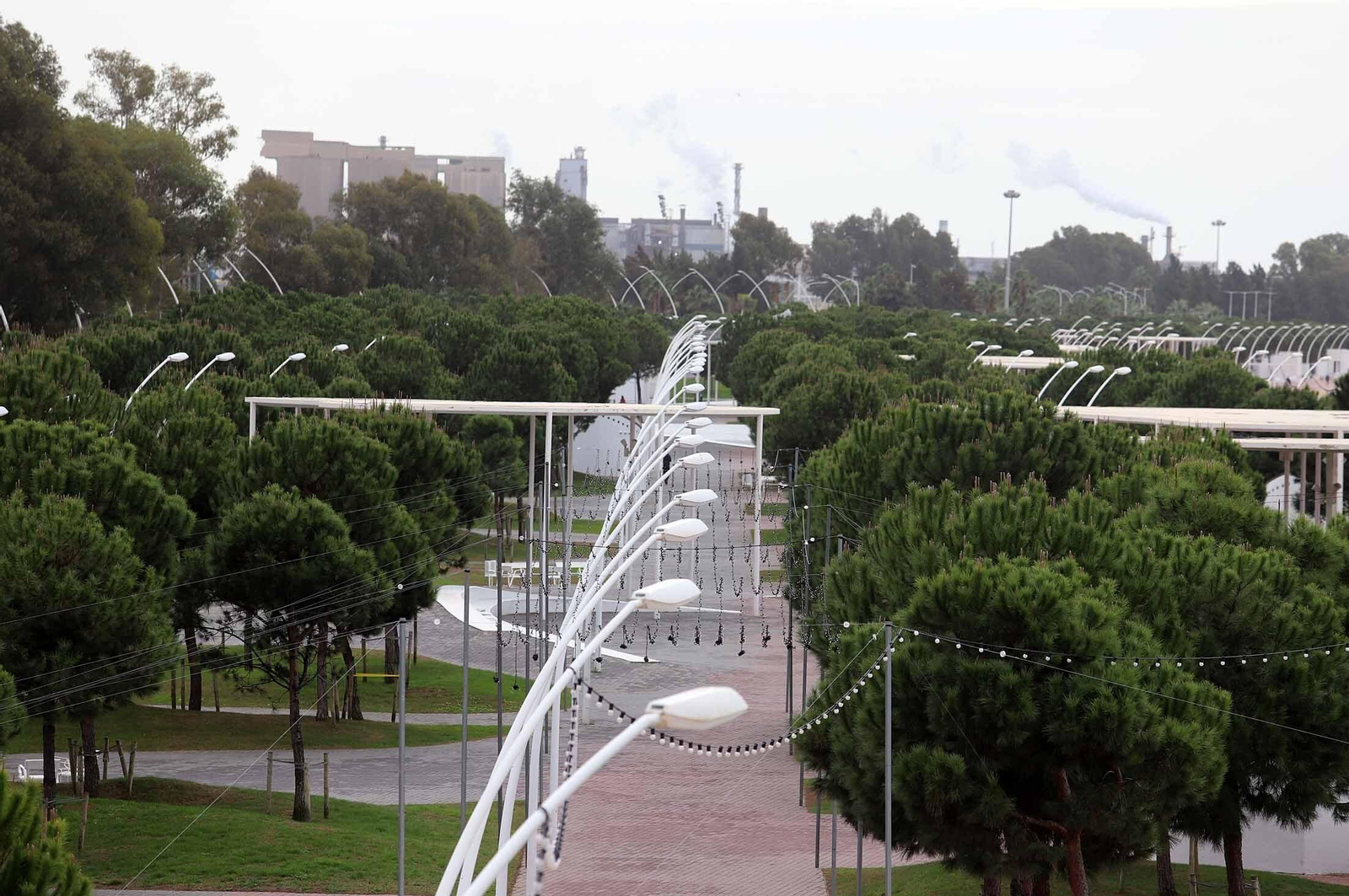 Barrio a barrio: Imágenes de Pescadería