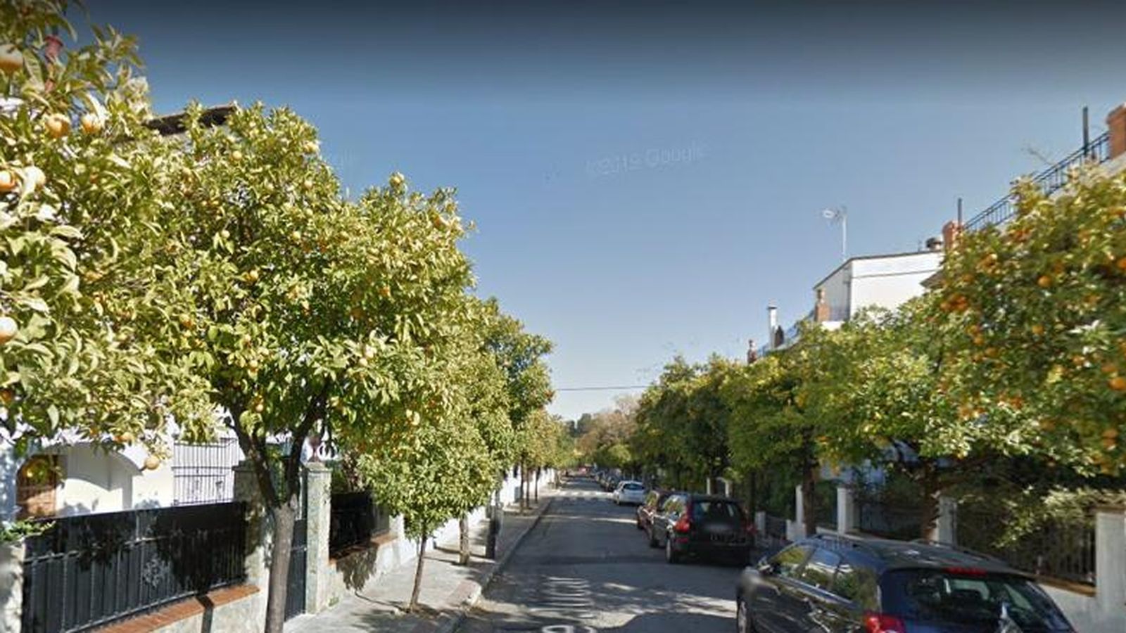 Naranjos en la calle Júcar de Heliópolis.