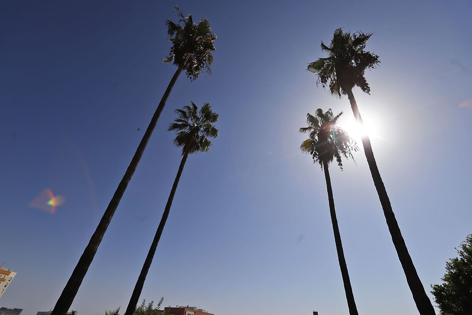 Las imágenes más destacadas del jueves 14 de septiembre en Huelva