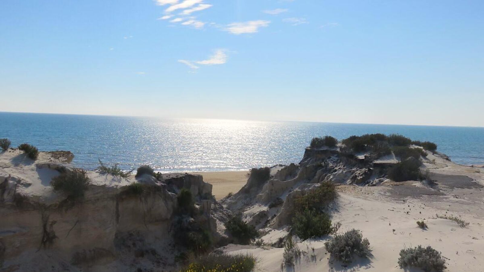 Playas de Doñana Playas de Doñana