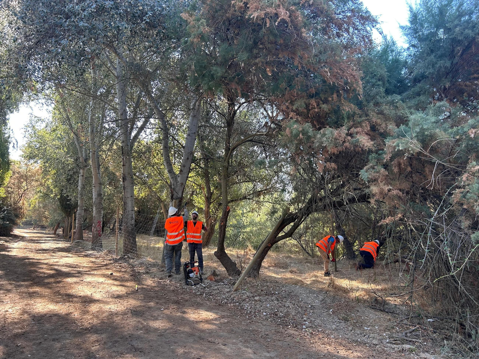 Agentes participan en las labores de plantación de nuevos árboles.