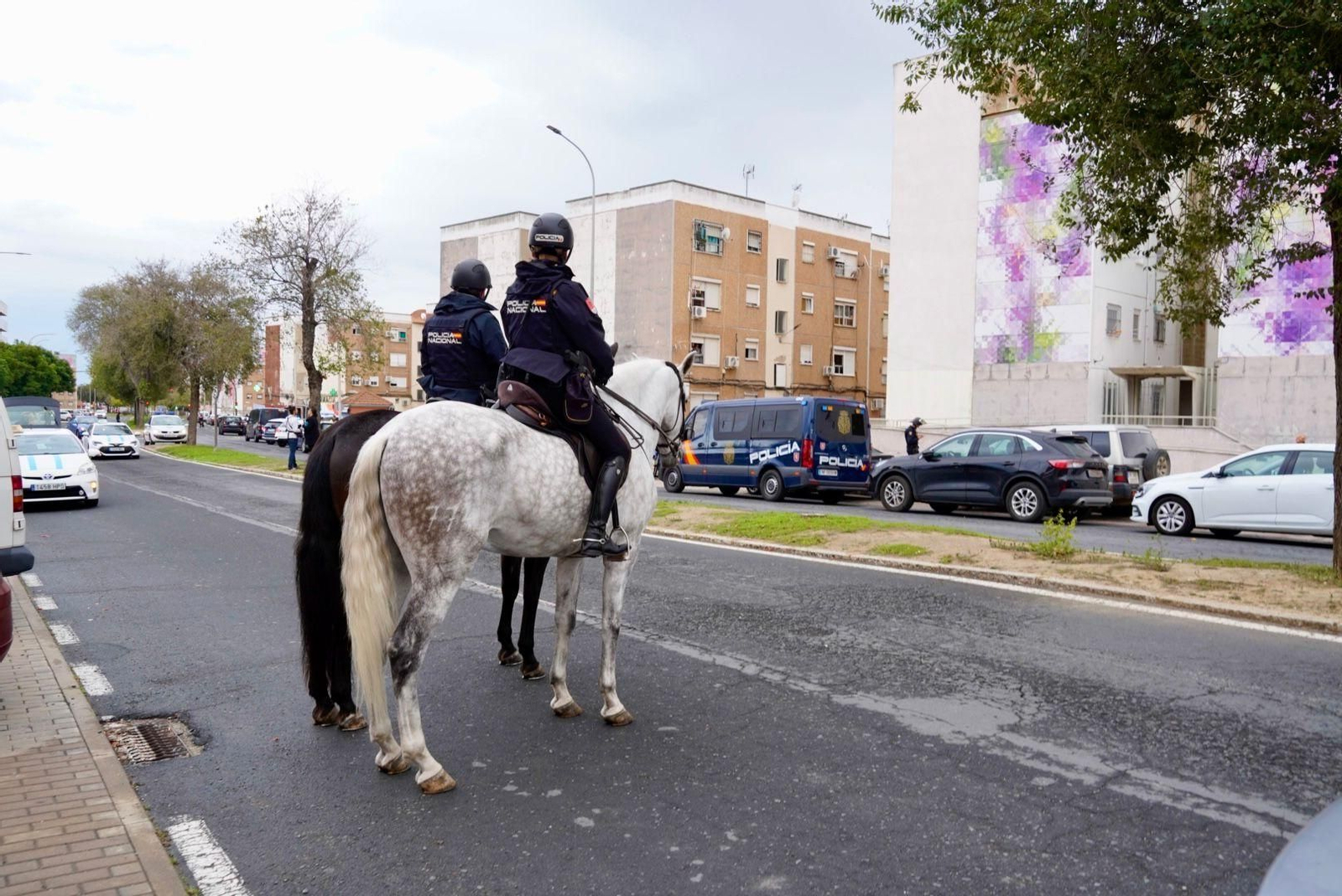 Imágenes de la macrooperación de la Policía Nacional este martes en El Torrejón y Pérez Cubillas: 200 agentes rastrean la zona