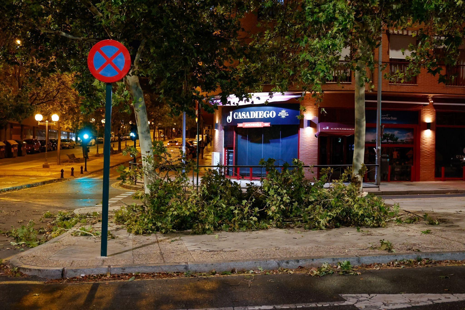 Fotos: así está siendo el fuerte viento de la borrasca Bernard en Granada