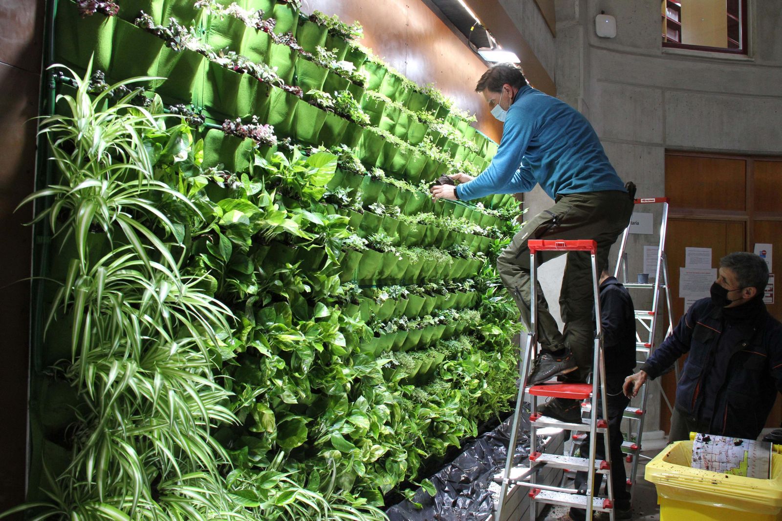 Imagen del jardín instalado en la ETSIIT.