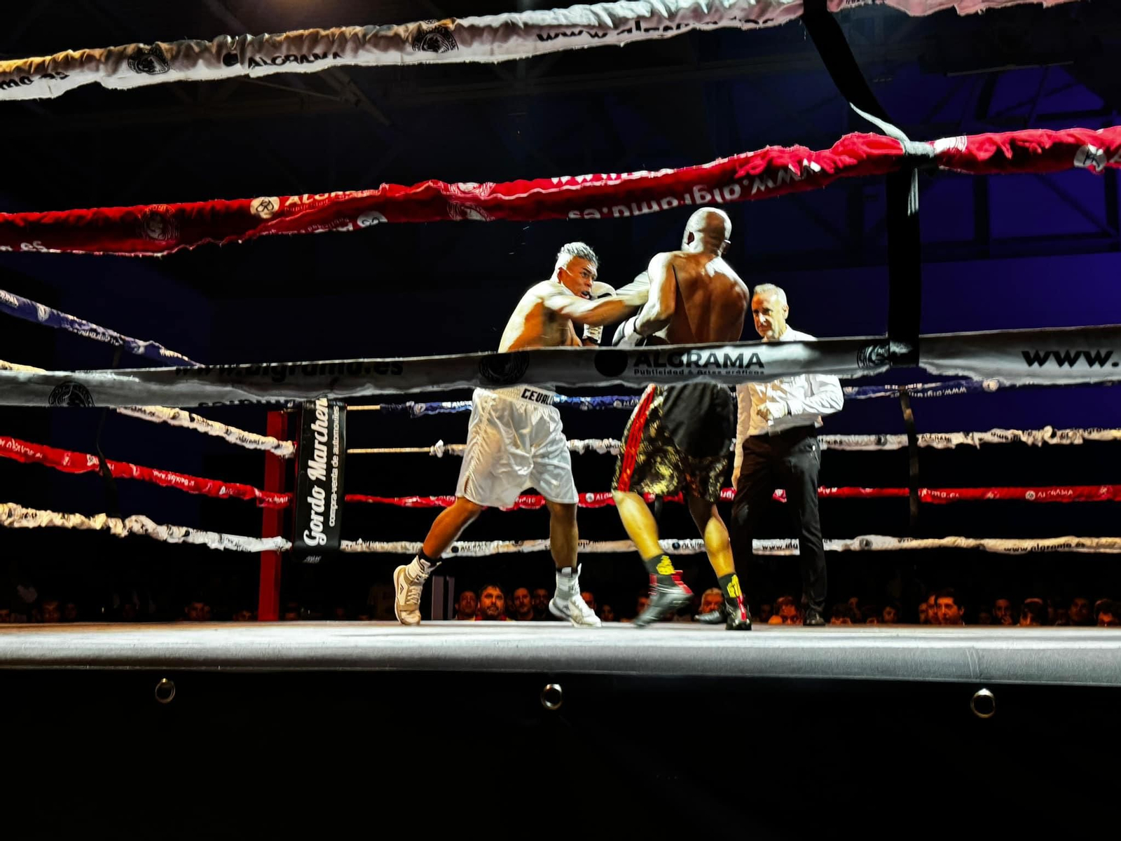 El boxeo enamora en una velada histórica en Jaén, en imágenes