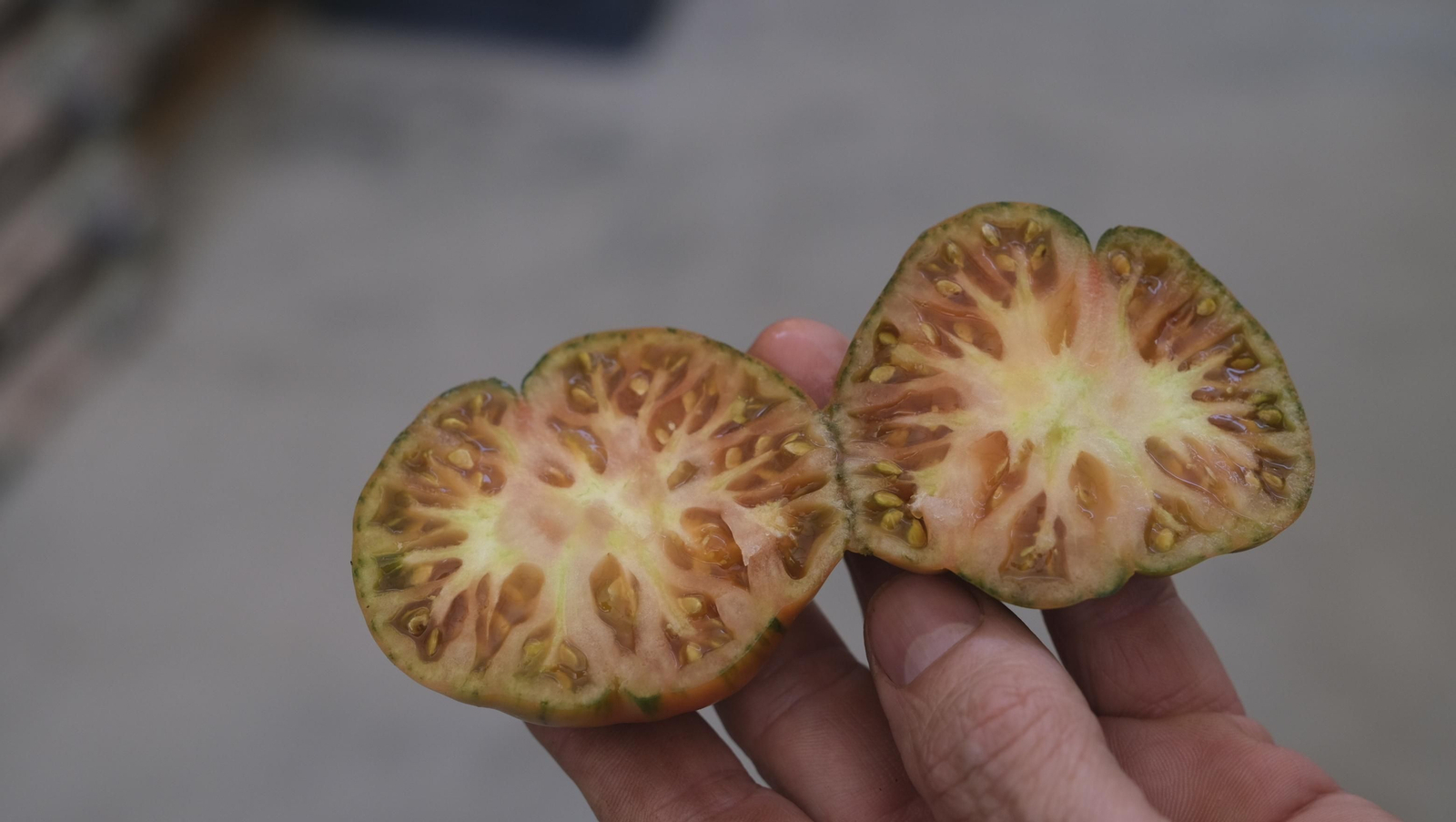 El auténtico Raf LoVargas