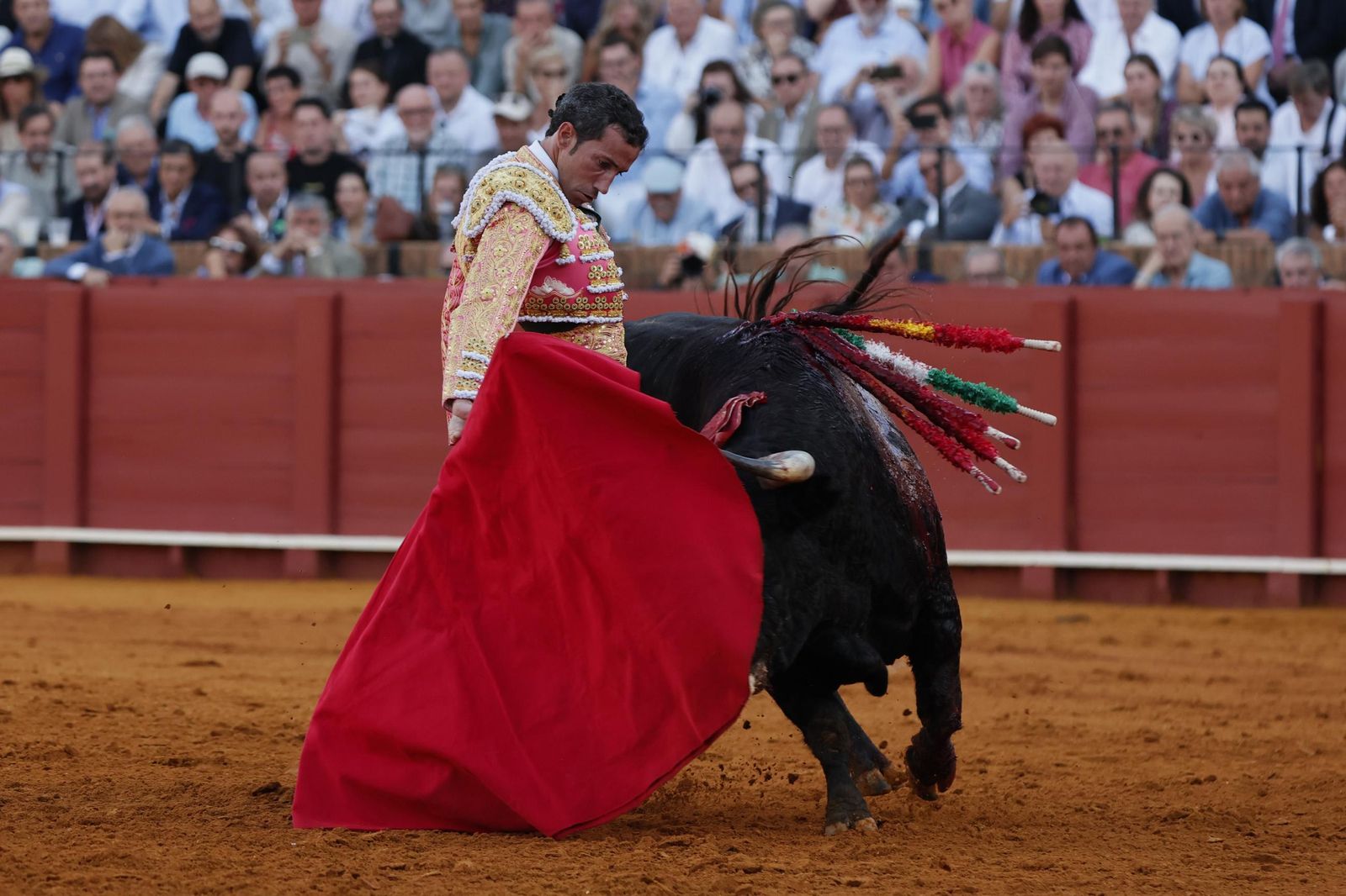 Las imágenes del primer festejo de San Miguel