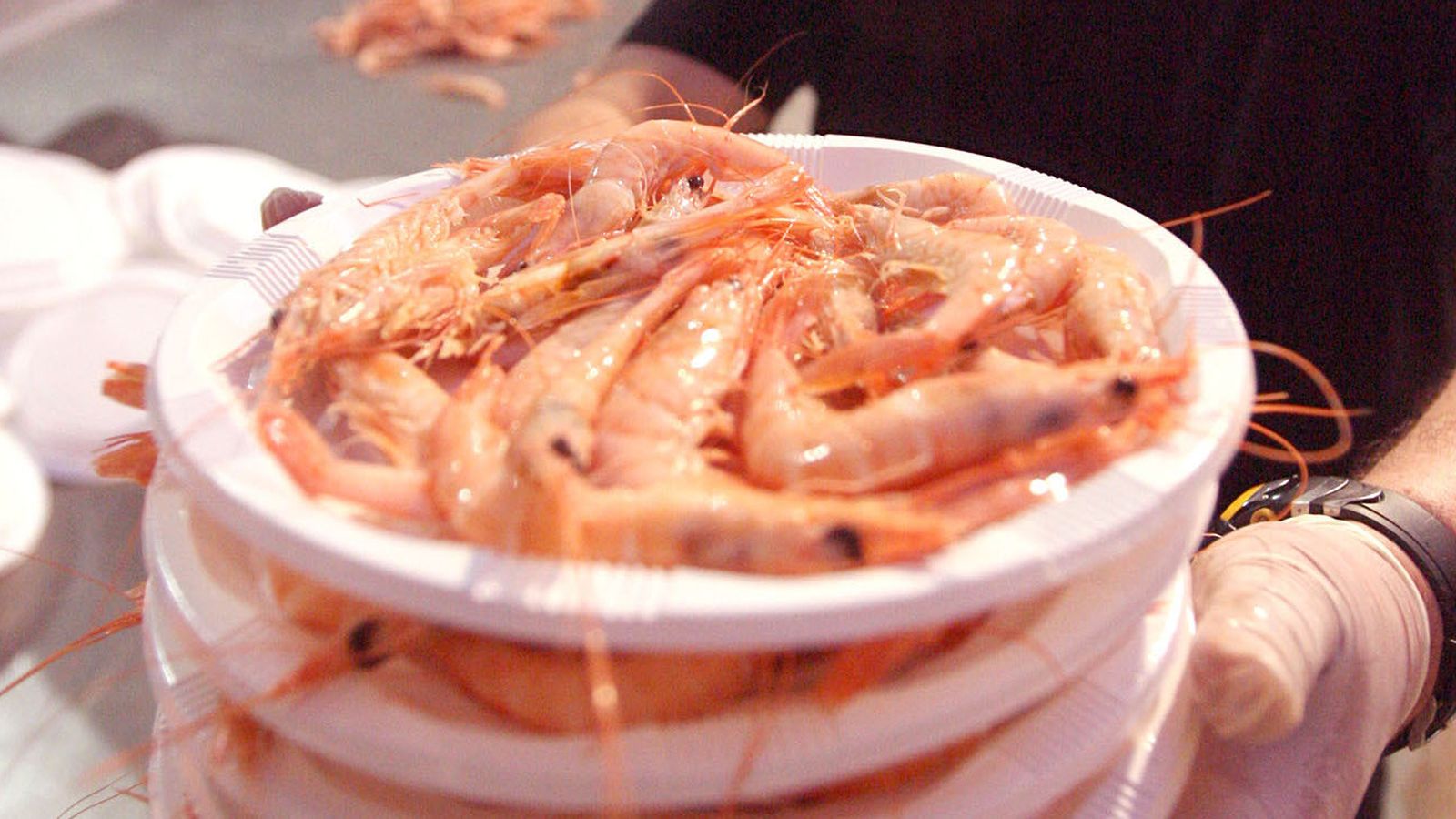 La rica gamba blanca de Huelva