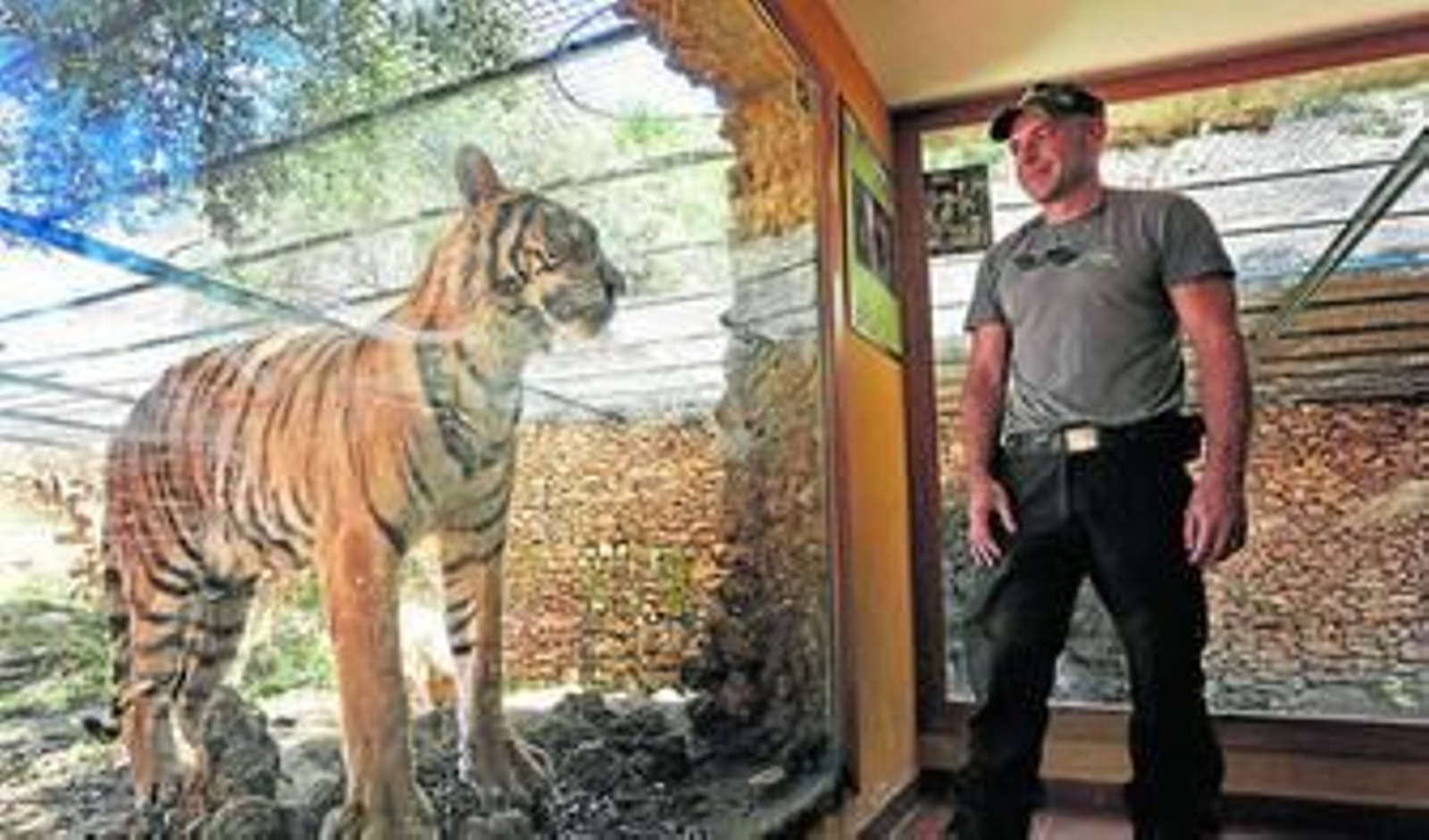 Uno de los cuidadores del Zoo de Castellar junto a uno de los animales que permanecen en las instalaciones. Uno de los cuidadores del Zoo de Castellar junto a uno de los animales que permanecen en las instalaciones.