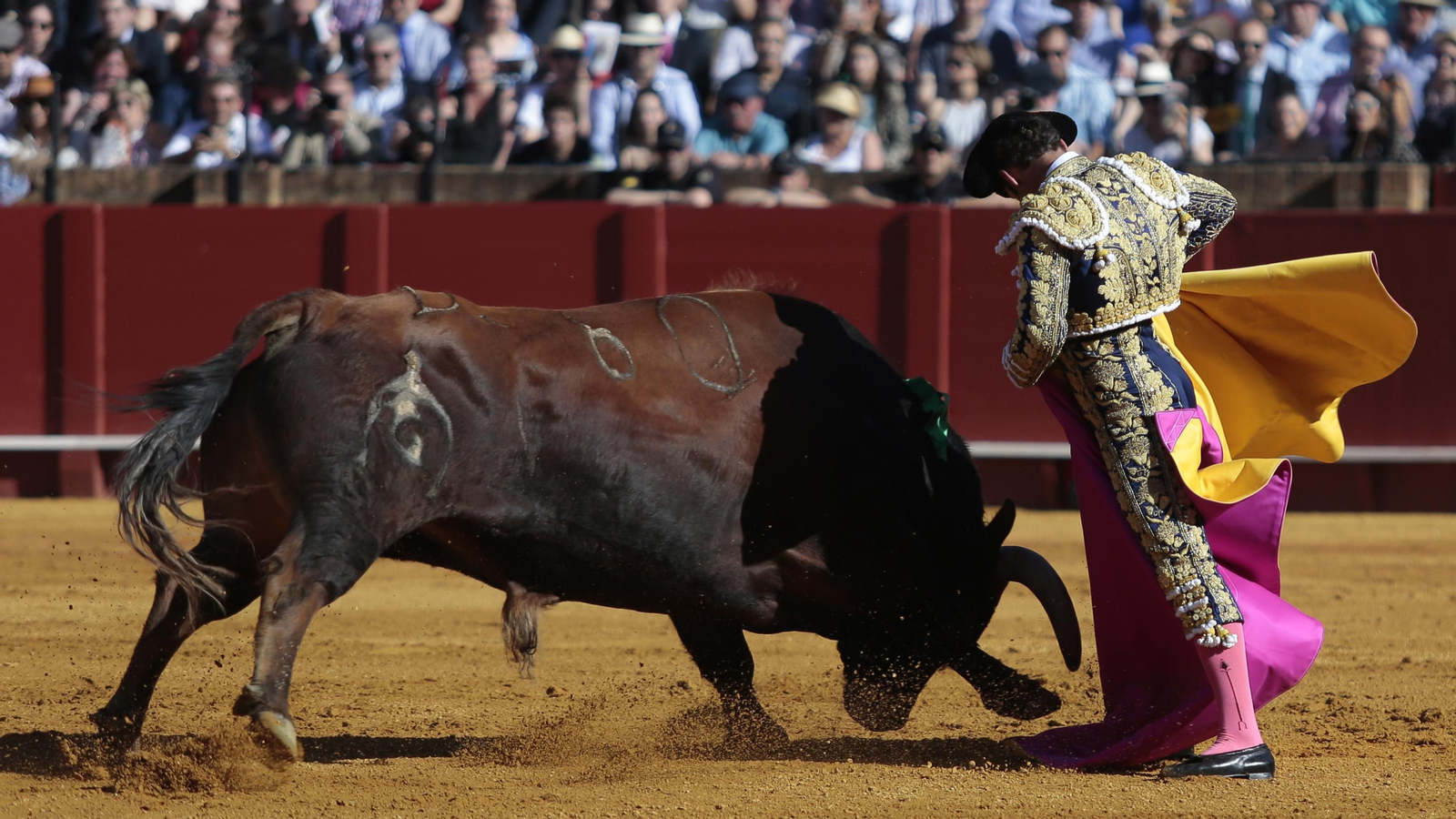 Las imágenes de la corrida del sábado de Feria