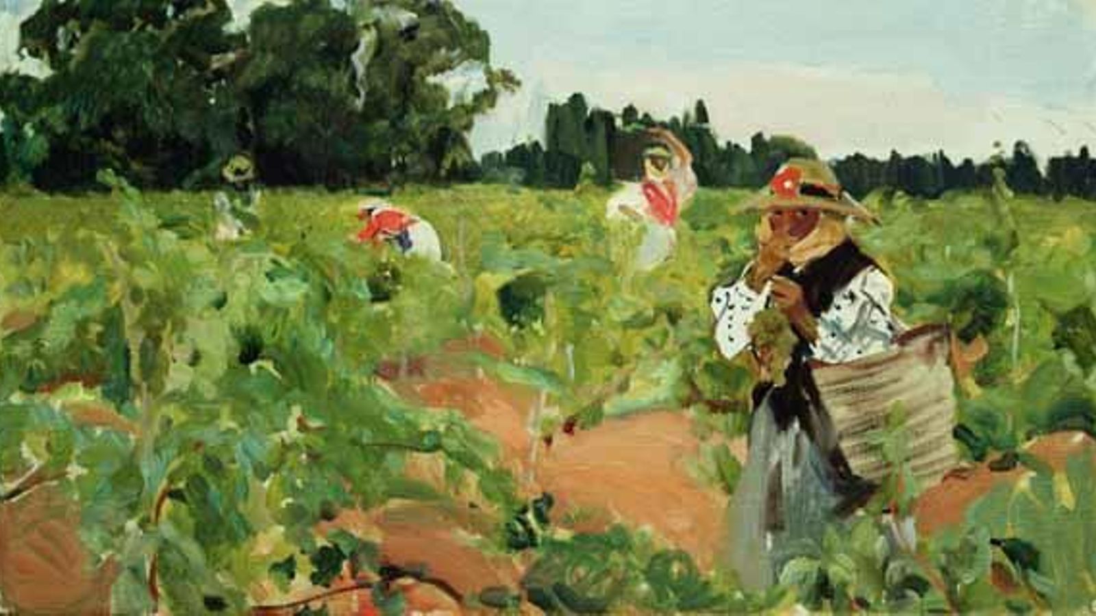 Vendiminado, Jerez. Museo Sorolla, Madrid.