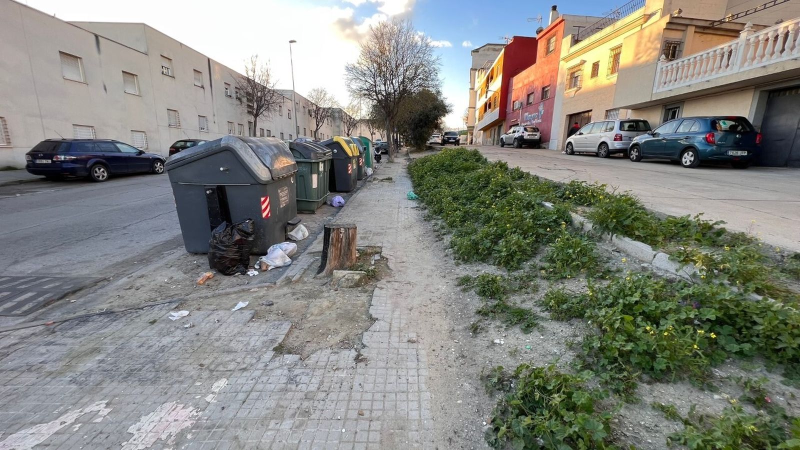 El "deterioro progresivo " de la barriada del Agrimensor