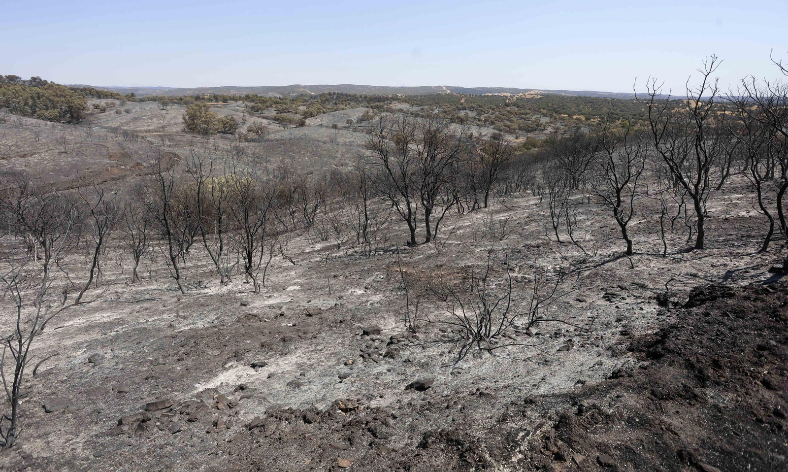 Los efectos del incendio en el Ronquillo en imágenes