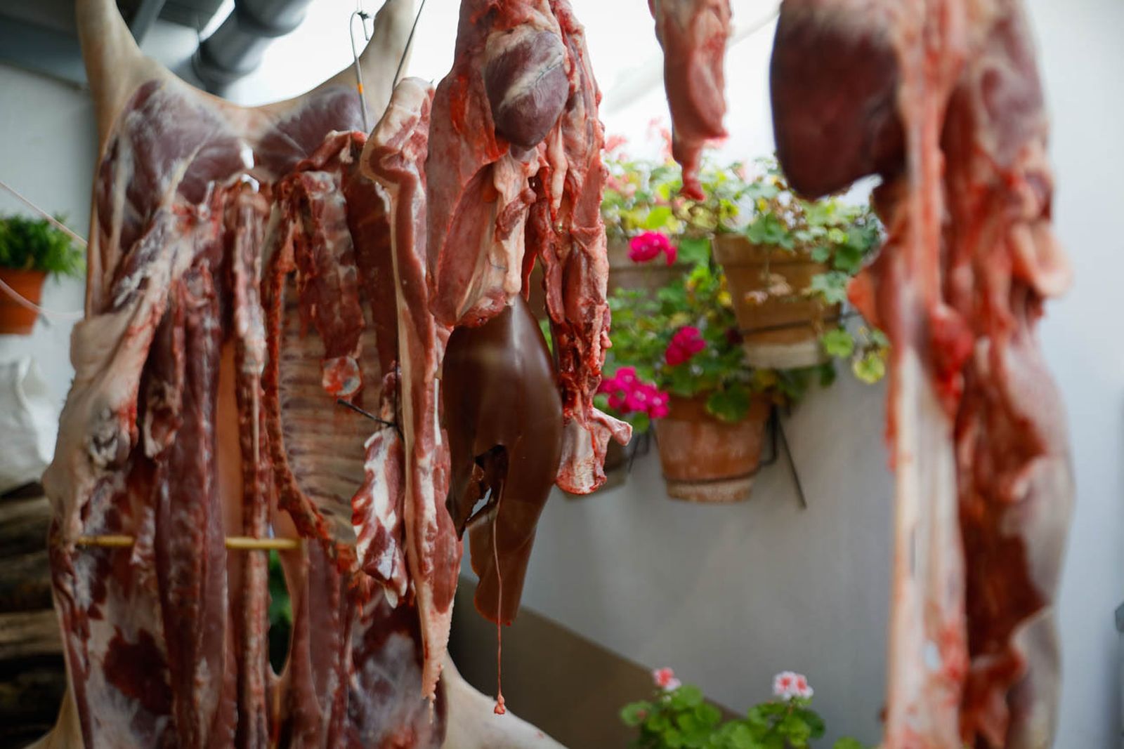 Te contamos en imágenes como son las matanzas en Chirivel