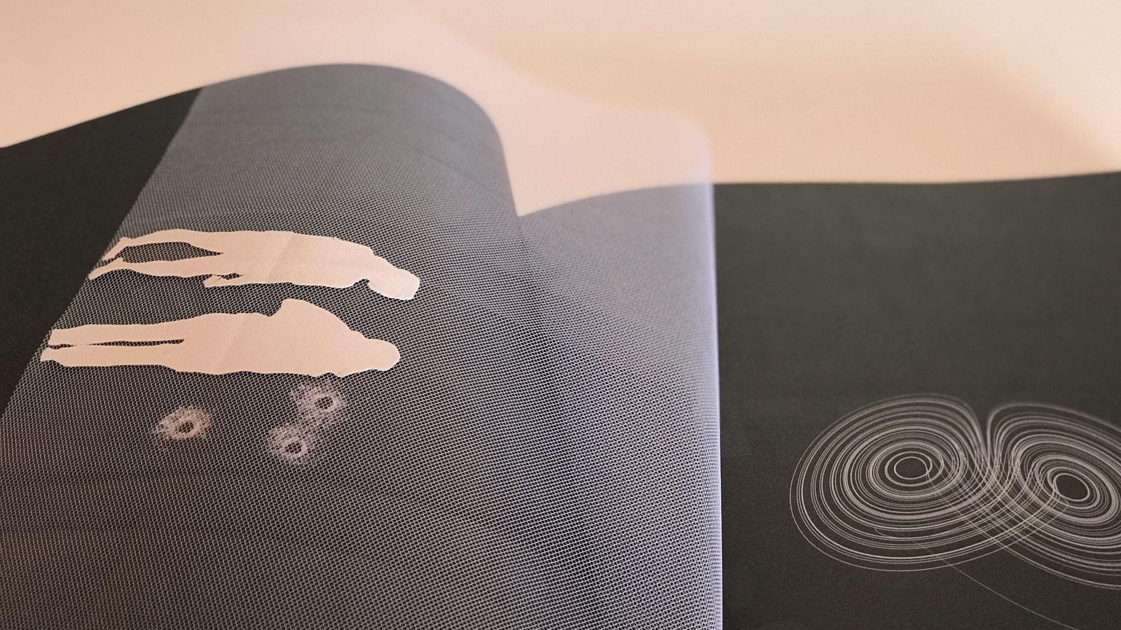 El proyecto de Ana Soler titulado 'El futuro del pasado. Historia de una historia de maltrato silente. La mujer instinta'.