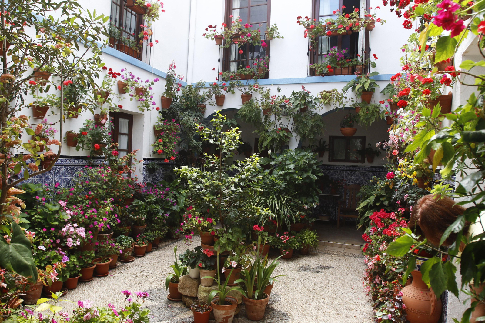 Los Patios de Córdoba en tiempos de crisis: Pedro Fernández, 6