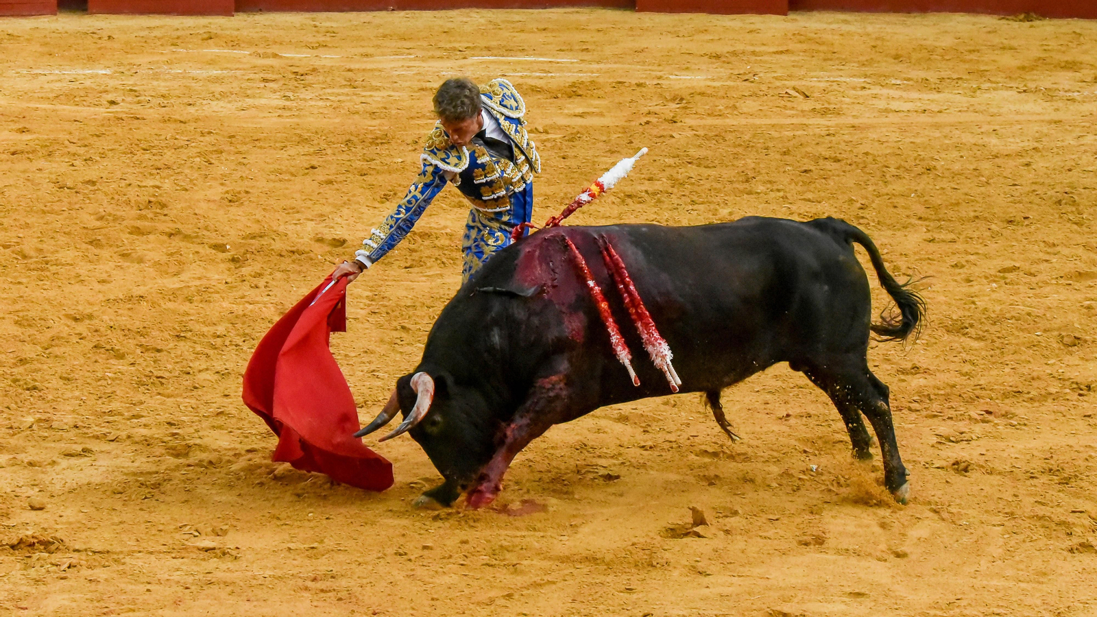 El festejo mixto de la Feria Real de San Roque, en imágenes