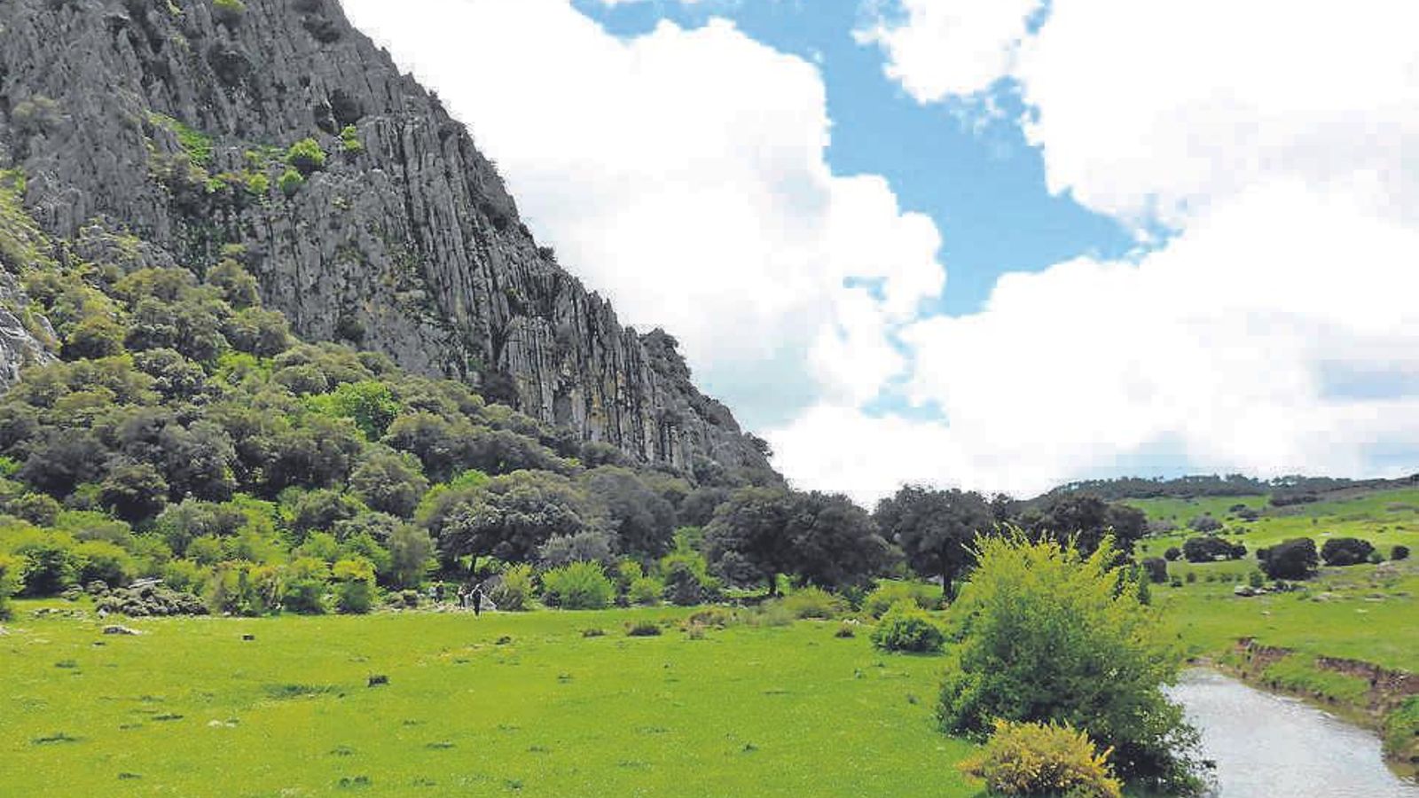 Llano del Republicano, en Sierra de Grazalema.