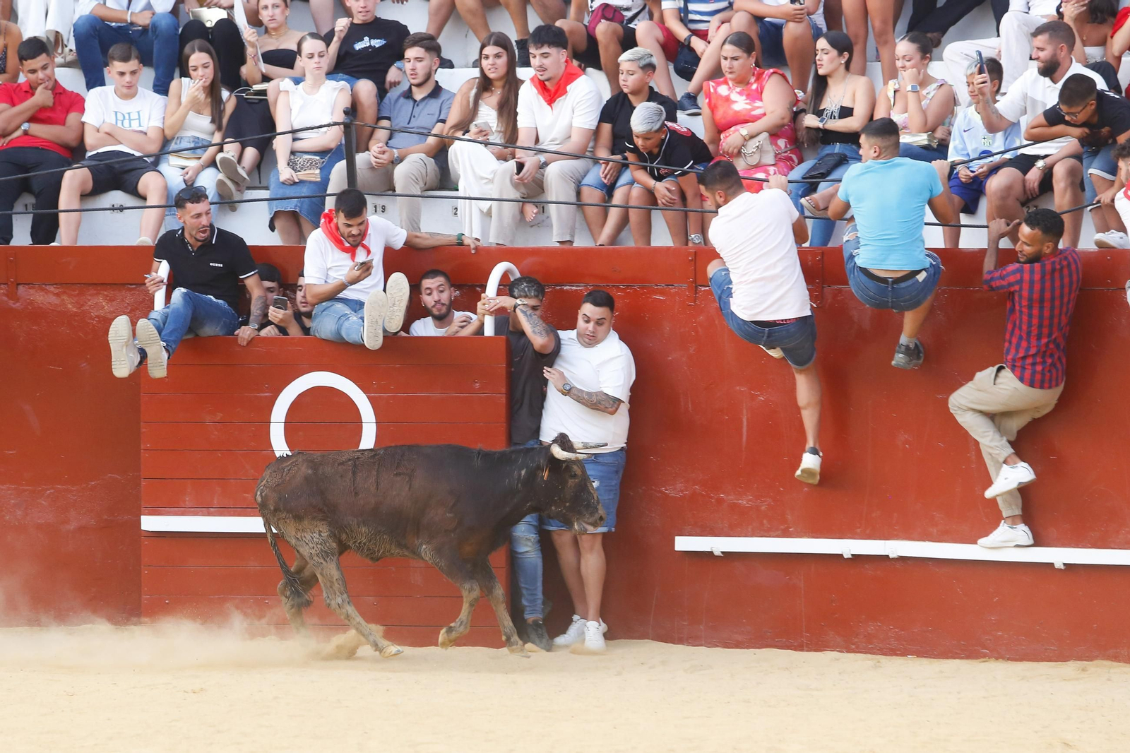 Fotos del Toro del Aguardiente en San Roque